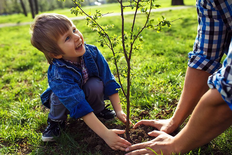 About Our Agency - Little Boy Helping his Father to Plant the Tree While Working Together in the Garden
